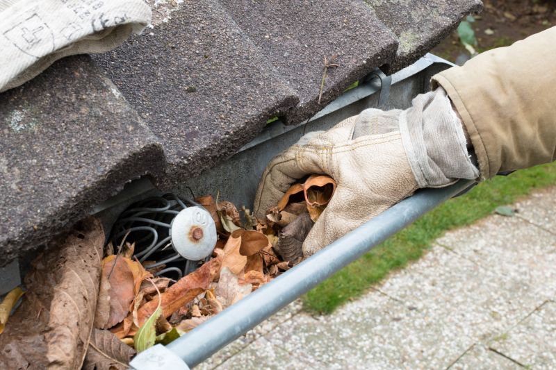 Gutter Maintenance